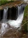 Dateiname=PA271298.jpg
Dateigröße=67KB
Abmessungen: 451x600
hinzugefügt am: 12. März 2011 PA271298.jpg