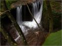 Dateiname=PA271308.jpg
Dateigröße=92KB
Abmessungen: 799x600
hinzugefügt am: 12. März 2011 PA271308.jpg