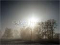 090113_Nebel_Wetzwil_26.jpg