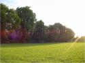 Dateiname=DSC00067.JPG
Dateigröße=107KB
Abmessungen: 799x600
hinzugefügt am: 04. März 2011 DSC00067.JPG