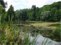 Dateiname=DSC00147.JPG
Dateigröße=148KB
Abmessungen: 799x600
hinzugefügt am: 04. März 2011 DSC00147.JPG