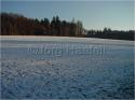Dateiname=DSC02101.JPG
Dateigröße=94KB
Abmessungen: 799x600
hinzugefügt am: 04. März 2011 DSC02101.JPG