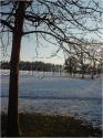 Dateiname=DSC02103.JPG
Dateigröße=90KB
Abmessungen: 451x600
hinzugefügt am: 04. März 2011 DSC02103.JPG