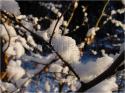 Dateiname=DSC02129.JPG
Dateigröße=81KB
Abmessungen: 799x600
hinzugefügt am: 04. März 2011 DSC02129.JPG