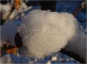 Dateiname=DSC02130.JPG
Dateigröße=73KB
Abmessungen: 799x600
hinzugefügt am: 04. März 2011 DSC02130.JPG