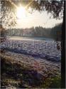 Dateiname=DSC02138.JPG
Dateigröße=78KB
Abmessungen: 451x600
hinzugefügt am: 04. März 2011 DSC02138.JPG