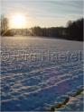 Dateiname=DSC02143.JPG
Dateigröße=66KB
Abmessungen: 451x600
hinzugefügt am: 04. März 2011 DSC02143.JPG