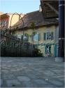 Dateiname=DSC03515.JPG
Dateigröße=59KB
Abmessungen: 451x600
hinzugefügt am: 04. März 2011 DSC03515.JPG