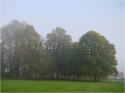 Dateiname=DSC04701.JPG
Dateigröße=65KB
Abmessungen: 799x600
hinzugefügt am: 04. März 2011 DSC04701.JPG