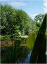 Dateiname=DSC01029.JPG
Dateigröße=70KB
Abmessungen: 451x600
hinzugefügt am: 04. März 2011 DSC01029.JPG