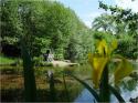 Dateiname=DSC01031.JPG
Dateigröße=167KB
Abmessungen: 799x600
hinzugefügt am: 04. März 2011 DSC01031.JPG