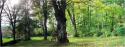 Dateiname=Pano_-_DSCF6452_-_5156x1950_-_SLIN_-_Blended_Layer.jpg
Dateigröße=164KB
Abmessungen: 1000x379
hinzugefügt am: 04. März 2011 Pano_-_DSCF6452_-_5156x1950_-_SLIN_-_Blended_Layer.jpg
