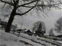 Dateiname=02010078.JPG
Dateigröße=153KB
Abmessungen: 799x600
hinzugefügt am: 04. März 2011 02010078.JPG