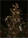 Dateiname=DSC00111.jpg
Dateigröße=50KB
Abmessungen: 451x600
hinzugefügt am: 04. März 2011 DSC00111.jpg