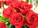 Dateiname=Roses_024.jpg
Dateigröße=78KB
Abmessungen: 799x600
hinzugefügt am: 03. März 2011 Roses_024.jpg