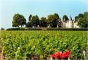 Dateiname=Chateaus_05.jpg
Dateigröße=143KB
Abmessungen: 876x600
hinzugefügt am: 01. April 2011 Chateaus_05.jpg
