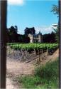 Dateiname=Chateaus_28.jpg
Dateigröße=68KB
Abmessungen: 415x600
hinzugefügt am: 01. April 2011 Chateaus_28.jpg