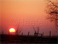 Dateiname=11_sunrise_set_005.jpg
Dateigröße=68KB
Abmessungen: 799x600
hinzugefügt am: 16. Februar 2011 11_sunrise_set_005.jpg