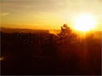 Dateiname=11_sunrise_set_010.jpg
Dateigröße=46KB
Abmessungen: 799x600
hinzugefügt am: 16. Februar 2011 11_sunrise_set_010.jpg