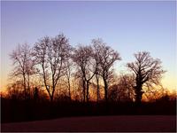 Dateiname=11_sunrise_set_019.jpg
Dateigröße=111KB
Abmessungen: 799x600
hinzugefügt am: 16. Februar 2011 11_sunrise_set_019.jpg