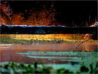 Dateiname=11_sunrise_set_029.jpg
Dateigröße=79KB
Abmessungen: 799x600
hinzugefügt am: 16. Februar 2011 11_sunrise_set_029.jpg