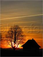 Dateiname=11_sunrise_set_095.jpg
Dateigröße=48KB
Abmessungen: 451x600
hinzugefügt am: 16. Februar 2011 11_sunrise_set_095.jpg