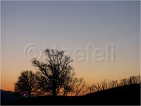 Dateiname=11_sunrise_set_124.jpg
Dateigröße=63KB
Abmessungen: 799x600
hinzugefügt am: 16. Februar 2011 11_sunrise_set_124.jpg