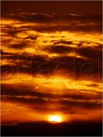 Dateiname=11_sunrise_set_154.jpg
Dateigröße=40KB
Abmessungen: 451x600
hinzugefügt am: 16. Februar 2011 11_sunrise_set_154.jpg