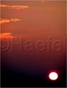 Dateiname=110303_SunsetLinde_30.jpg
Dateigröße=23KB
Abmessungen: 451x600
hinzugefügt am: 03. März 2011 110303_SunsetLinde_30.jpg