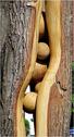 Dateiname=275.jpg
Dateigröße=70KB
Abmessungen: 325x600
hinzugefügt am: 24. Mai 2011 275.jpg