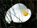 Dateiname=Gardone_52.jpg
Dateigröße=66KB
Abmessungen: 799x600
hinzugefügt am: 12. Juni 2012 Gardone_52.jpg
