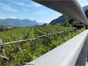 Dateiname=Kalterersee_15.jpg
Dateigröße=138KB
Abmessungen: 799x600
hinzugefügt am: 12. Juni 2012 Kalterersee_15.jpg