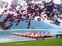 Dateiname=Kalterersee_38.jpg
Dateigröße=193KB
Abmessungen: 799x600
hinzugefügt am: 12. Juni 2012 Kalterersee_38.jpg