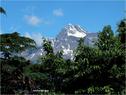 Dateiname=Meran_08.jpg
Dateigröße=127KB
Abmessungen: 799x600
hinzugefügt am: 12. Juni 2012 Meran_08.jpg