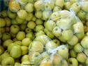 Dateiname=N_Torbole_60.jpg
Dateigröße=101KB
Abmessungen: 799x600
hinzugefügt am: 12. Juni 2012 N_Torbole_60.jpg