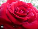 Dateiname=134.jpg
Dateigröße=58KB
Abmessungen: 799x600
hinzugefügt am: 26. Juli 2014 134.jpg