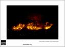 Dateiname=SF_15_raw_313.jpg
Dateigröße=37KB
Abmessungen: 817x600
hinzugefügt am: 22. März 2015 SF_15_raw_313.jpg