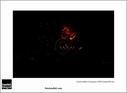 Dateiname=SF_15_raw_347.jpg
Dateigröße=29KB
Abmessungen: 817x600
hinzugefügt am: 22. März 2015 SF_15_raw_347.jpg