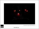 Dateiname=SF_15_raw_462.jpg
Dateigröße=30KB
Abmessungen: 817x600
hinzugefügt am: 22. März 2015 SF_15_raw_462.jpg