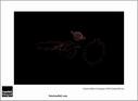 Dateiname=SF_15_raw_506.jpg
Dateigröße=31KB
Abmessungen: 817x600
hinzugefügt am: 22. März 2015 SF_15_raw_506.jpg