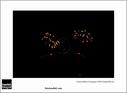 Dateiname=SF_15_raw_713.jpg
Dateigröße=31KB
Abmessungen: 817x600
hinzugefügt am: 22. März 2015 SF_15_raw_713.jpg