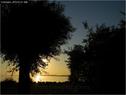 Dateiname=Bodensee_001.jpg
Dateigröße=72KB
Abmessungen: 799x600
hinzugefügt am: 09. Dezember 2015 Bodensee_001.jpg