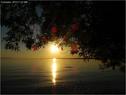Dateiname=Bodensee_003.jpg
Dateigröße=85KB
Abmessungen: 799x600
hinzugefügt am: 09. Dezember 2015 Bodensee_003.jpg