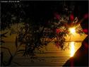 Dateiname=Bodensee_010.jpg
Dateigröße=92KB
Abmessungen: 799x600
hinzugefügt am: 09. Dezember 2015 Bodensee_010.jpg