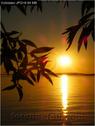 Dateiname=Bodensee_014.jpg
Dateigröße=42KB
Abmessungen: 451x600
hinzugefügt am: 09. Dezember 2015 Bodensee_014.jpg