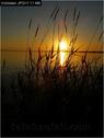 Dateiname=Bodensee_017.jpg
Dateigröße=43KB
Abmessungen: 451x600
hinzugefügt am: 09. Dezember 2015 Bodensee_017.jpg