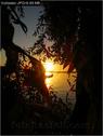 Dateiname=Bodensee_018.jpg
Dateigröße=46KB
Abmessungen: 451x600
hinzugefügt am: 09. Dezember 2015 Bodensee_018.jpg