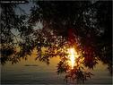 Dateiname=Bodensee_021.jpg
Dateigröße=142KB
Abmessungen: 799x600
hinzugefügt am: 09. Dezember 2015 Bodensee_021.jpg