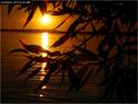 Dateiname=Bodensee_024.jpg
Dateigröße=65KB
Abmessungen: 799x600
hinzugefügt am: 09. Dezember 2015 Bodensee_024.jpg