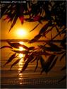 Dateiname=Bodensee_027.jpg
Dateigröße=50KB
Abmessungen: 451x600
hinzugefügt am: 09. Dezember 2015 Bodensee_027.jpg